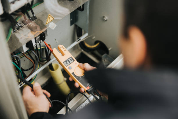 Best Electric Panel Repair  in Round Lake Heights, IL