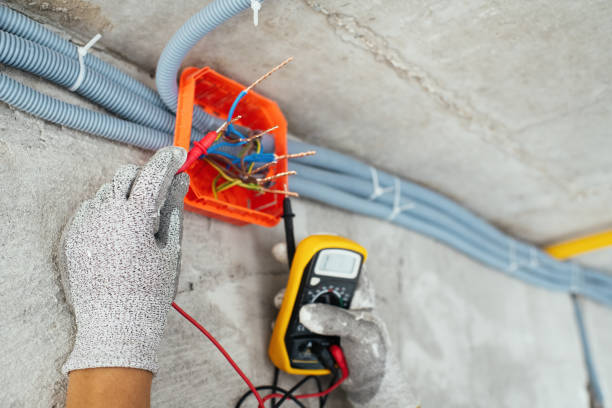 Best Ceiling Fan Installation Electrician  in Round Lake Heights, IL